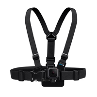 Chest Mount